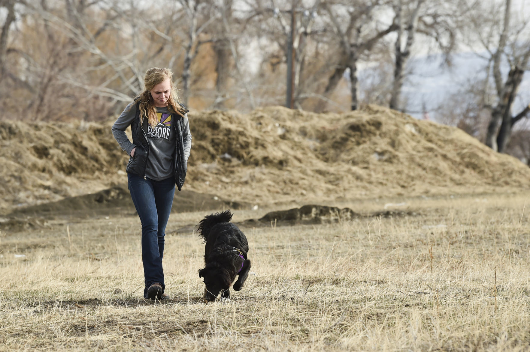 Dax works the ground for trace scents of planted mammal bones
